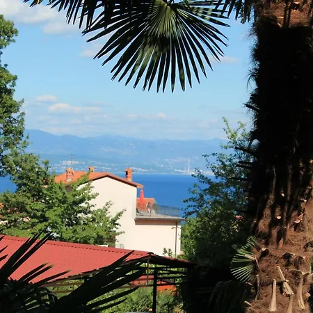 Tominovic