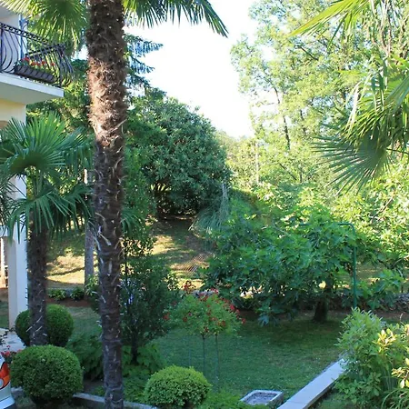 Tominovic Apartment