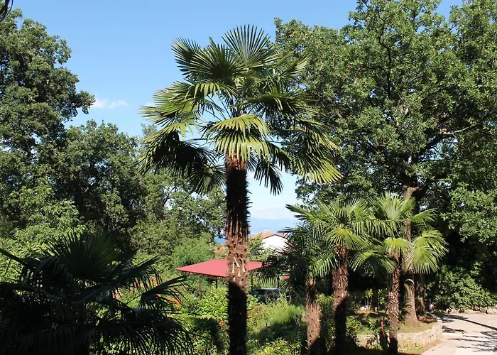 Tominovic Апартаменти Опатія