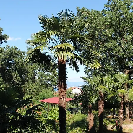 Tominovic Apartament Opatija